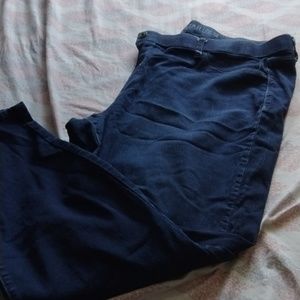 Vanilla Star Dark denim skinny jeans size 22